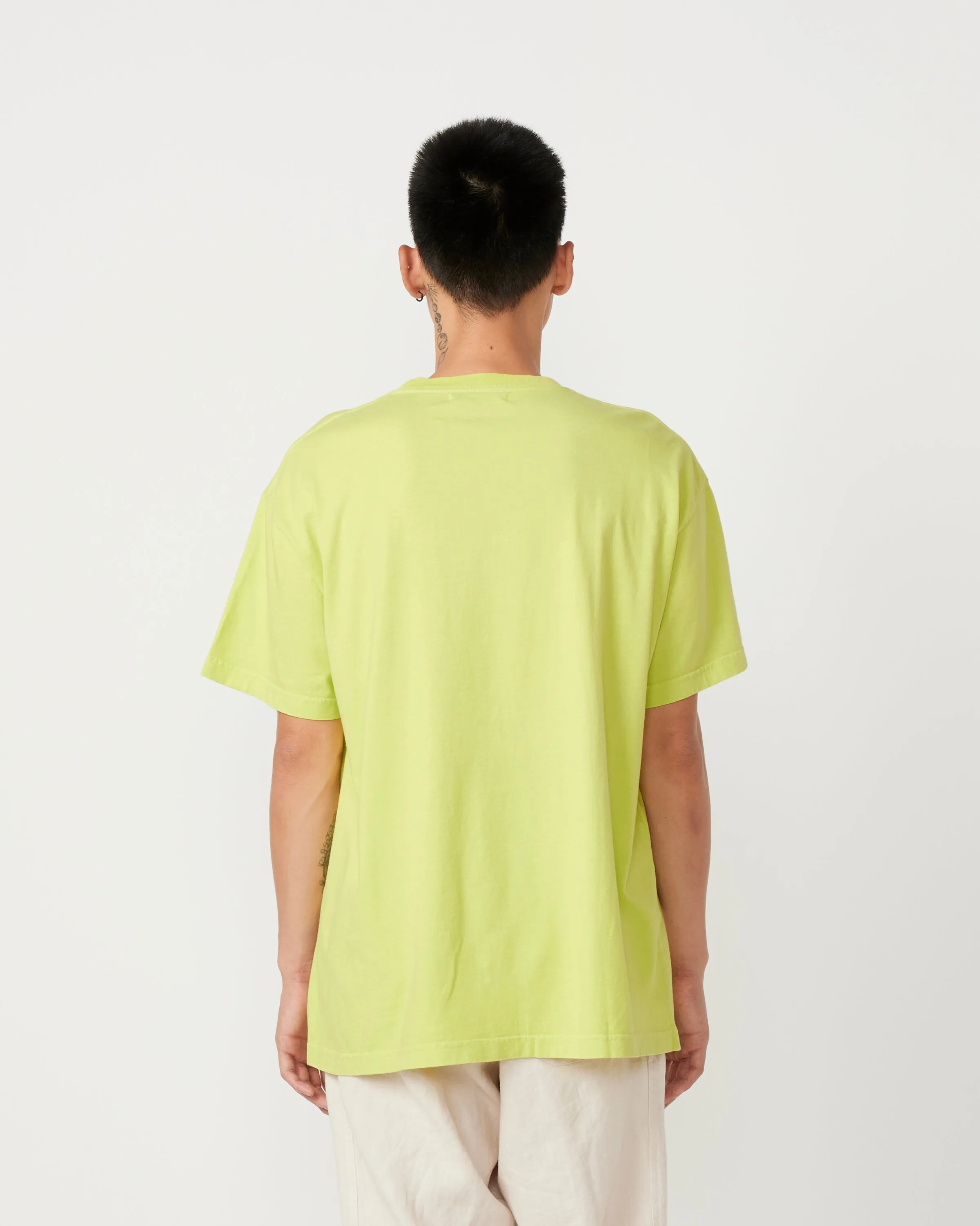 Big Pocket Tee in Acid