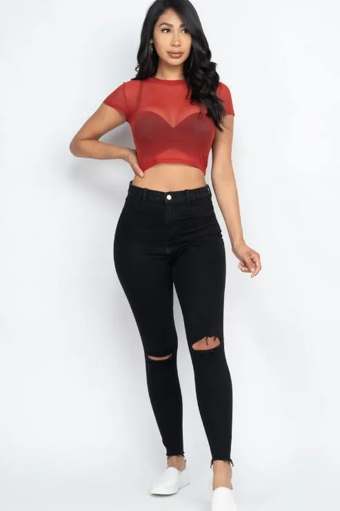 Sexy Mesh Sheer Short Sleeve Crop Top (CAPELLA)