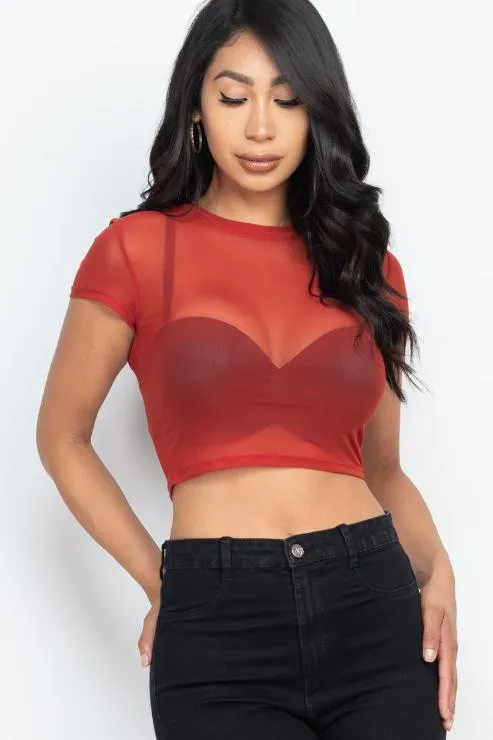 Sexy Mesh Sheer Short Sleeve Crop Top (CAPELLA)