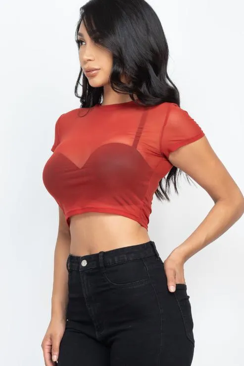 Sexy Mesh Sheer Short Sleeve Crop Top (CAPELLA)